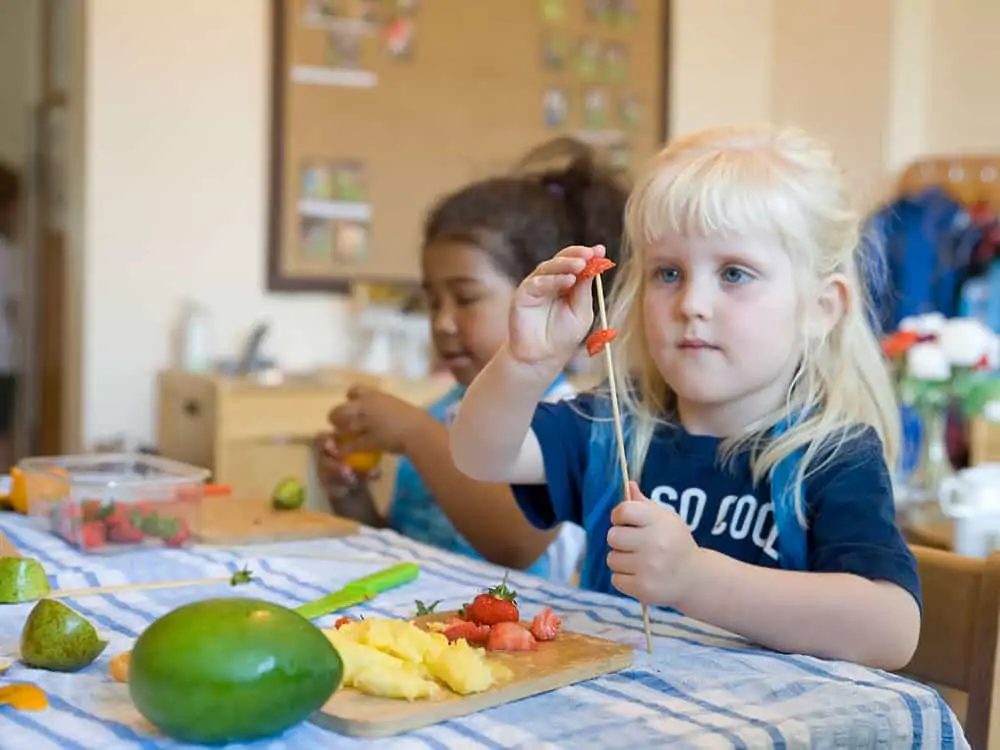 The Nest Day Nursery Philosophy